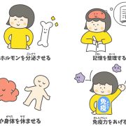 良い睡眠と目覚めの関係